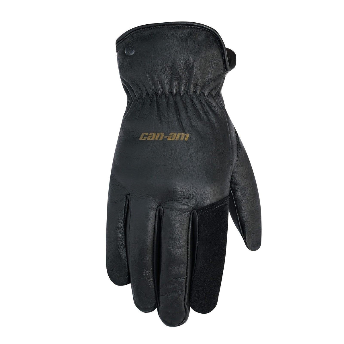 Blake Leather gloves / Black / M
